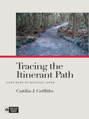 cover image of Tracing the Itinerant Path